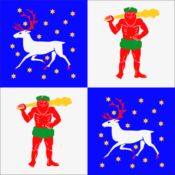 Flagge Norrbotten